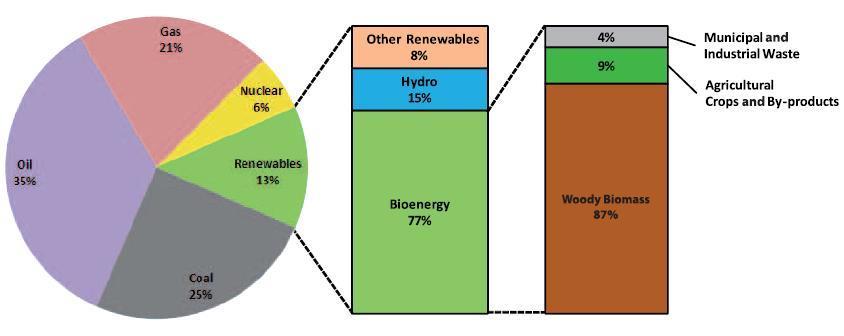 Introduction to Land Use Change (LUC) Biomass is a renewable source of energy that has expanded last decades It presently supposes around 10% of the global primary energy supply (around 50 EJ/year)