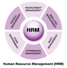 organisation's succession planning system, and HRD initiatives are used to prepare them for their intended responsibilities.