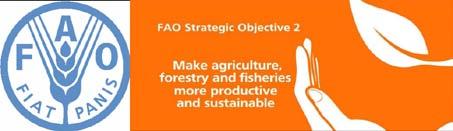 Mid-term strategy (2017-2020) towards the sustainability of Mediterranean A sustainable and aquaculture Black Sea means fisheries ensuring not only that the industry is economically and