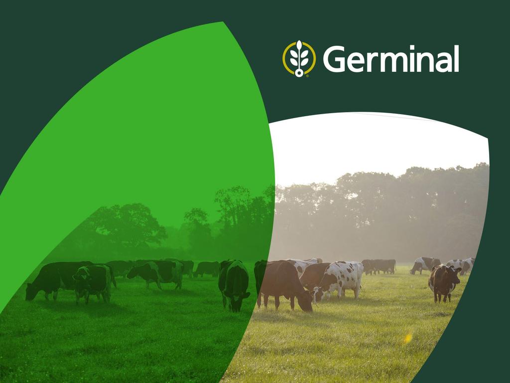 The value of grass Dr Mary McEvoy Germinal Ireland, Horse & Jockey,