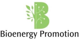 Bioenergy Promotion 2 Bioenergy Promotion 2 from strategies to activities (Bioenergy Promotion 2) Co-financed by Baltic Sea Region Programme Budget ~ EUR 1.5M.