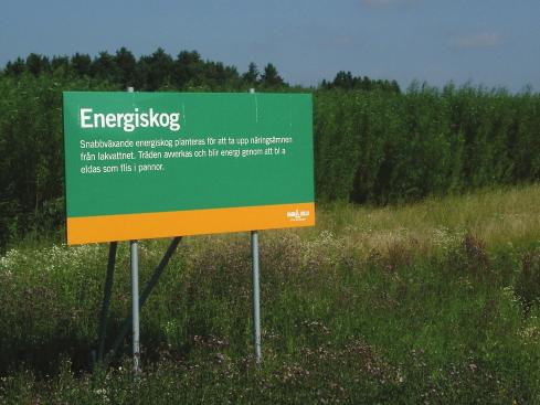 Ecology, Swedish