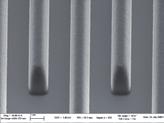 5 µm L/S Dose -