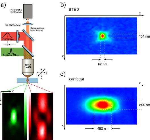 STED STimulated Emission Depletion Microscopy By playing with the STED beam focusing