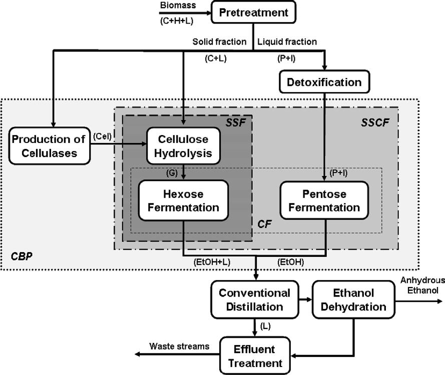 C.A. Cardona, Ó.J. Sánchez / Bioresource Technology 98 (2007) 2415 2457 2419 Fig. 1. Generic block diagram of fuel ethanol production from lignocellulosic biomass.