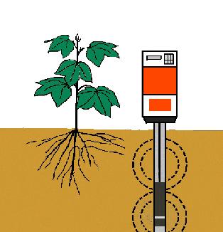 Fertilization and Fertigation Types of soil moisture monitors Neutron