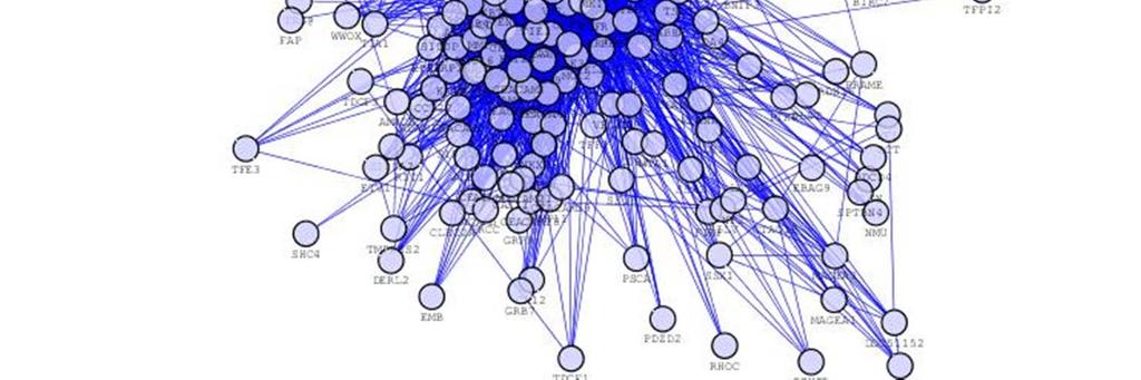 network made of proteins which are