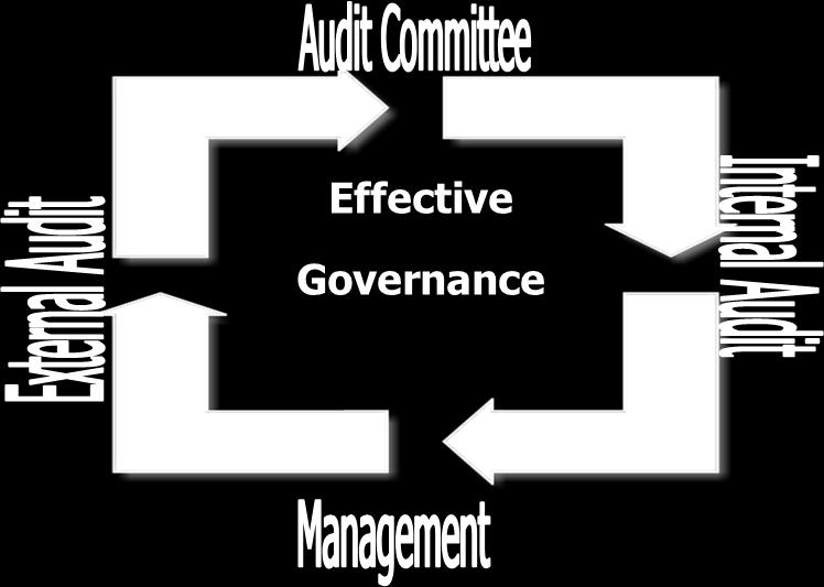 The goal of internal auditing, as defined by IIA (2009), is to assist the organisation to accomplish its objectives by bringing a systematic, disciple approach to establish and improve the