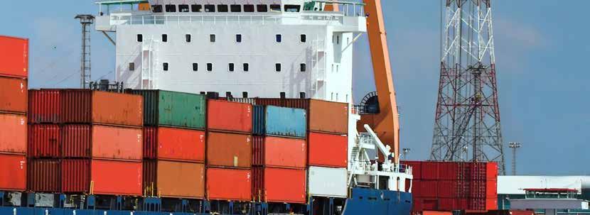 Bulk cargo handling Container handling facilities and storage Car terminals Passenger terminals Vessel Berthing GIS (Geographic Information System) Real Estate Management of the Port Properties with