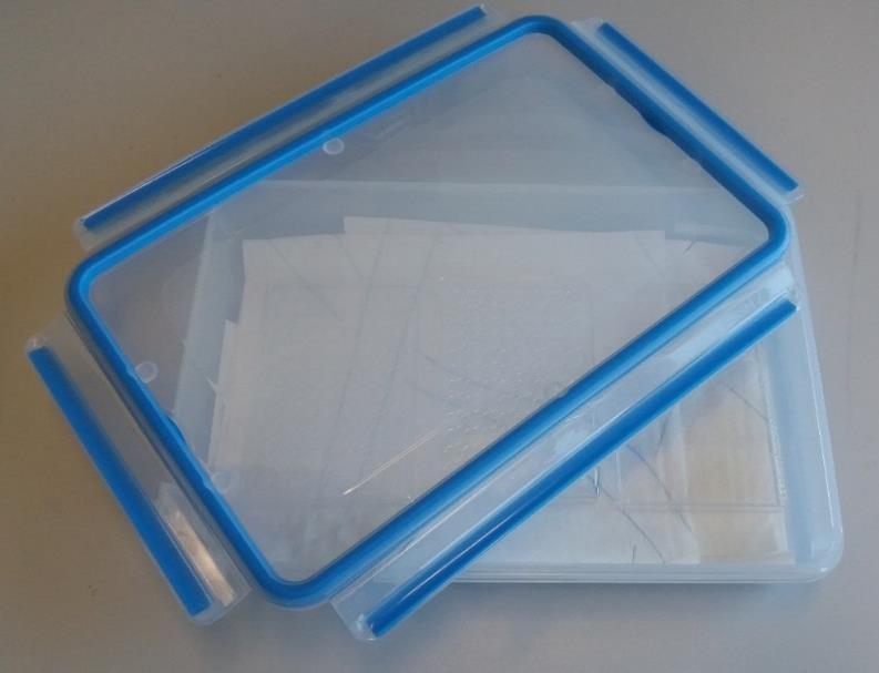 Fig. 3: Exemplary storage box with paper towel that can hold 3 Multiwell-MEA plates. 5 Thawing Peri.4U TM In brief: Thaw the Peri.4U TM according to their Handling Guide. 1) Equilibrate Neuro.