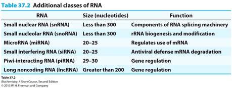 Table 37. 2 RNA Synthesis (E.
