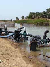 The Niger River is an essential source of agricultural water in the most arid areas.