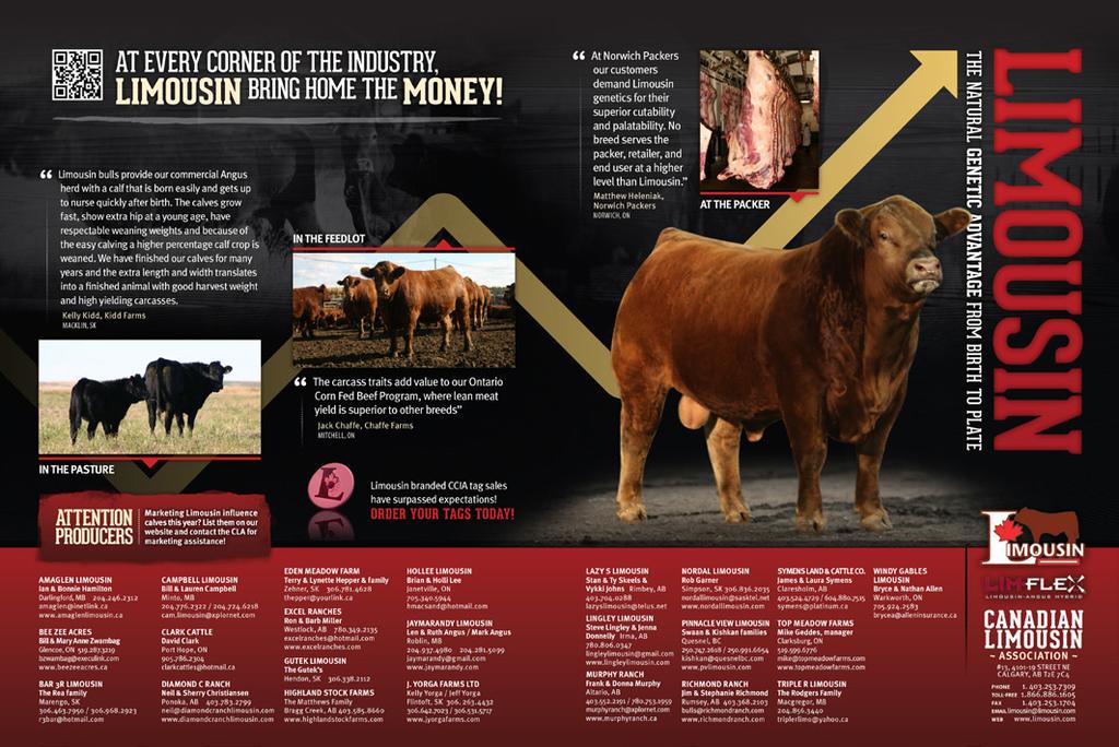 names, location, phone number, email address, and website plus the date of your bull sale on Bull Buyers Guide ads).
