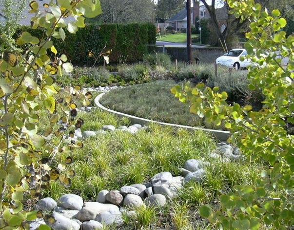 BALANCED DEVELOPMENT: A Greener Approach Infrastructure can be designed to minimize its impact on natural drainage systems.