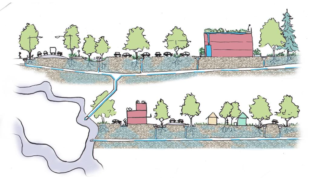 Figure 1-7: Infrastructure can help protect creeks and streams by capturing, slowing, and absorbing stormwater and filtering pollutants.
