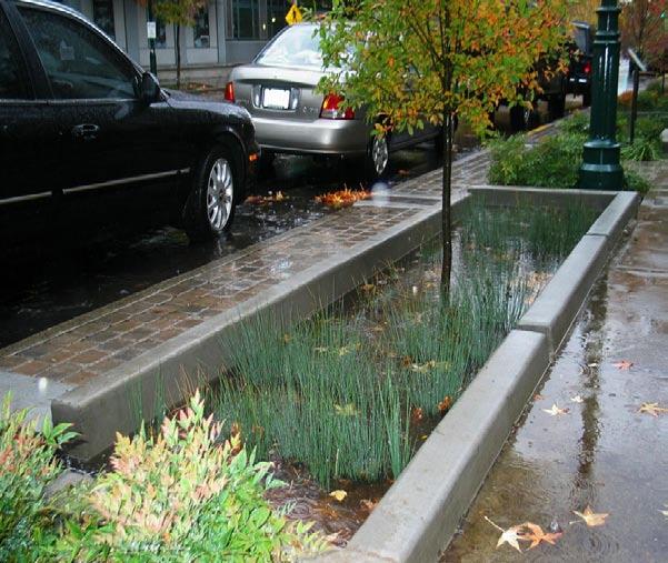 Figure 1-10: Stormwater facilities collect and absorb stormwater to reduce the overall volume of runoff.
