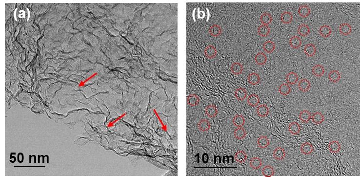 Fig. S7. TEM images of the bare acid-treated NHG at (a) low and (b) high magnifications.