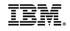 About IBM Global Business Services With business experts in more than 16 countries, IBM Global Business Services provides clients with deep business process and industry expertise across 17