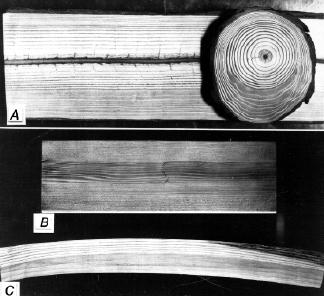 Fibril angle Longitudinal shrinkage Moisture content Spiral grain Juvenile wood Mature wood Figure 4 8. Effects compression wood.
