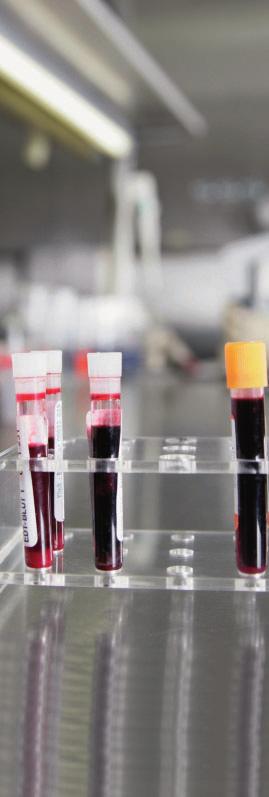 In numerous projects with almost all well-known manufacturers of blood plasma products around the world, Siemens has gained extensive knowledge about the sensitive processes of blood plasma