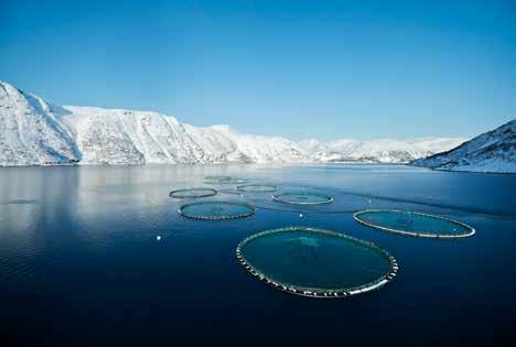 Meld. St. 22 (2016 2017) Report to the Storting (white paper) Summary 15 Figure 2.2 Norway is the world s largest producer of sea-farmed fish.