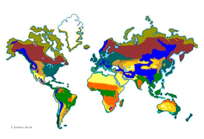Terrestrial Biomes Categorized by latitude, altitude, temperature,