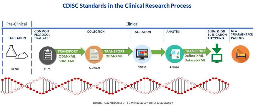 CDISC Standards Do NOT Dictate Research Questions or Conduct CDISC Standards improve and