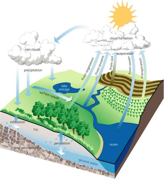 How Much Precipitation Ends Up As Evaporation/Transpiration & Streamflow?