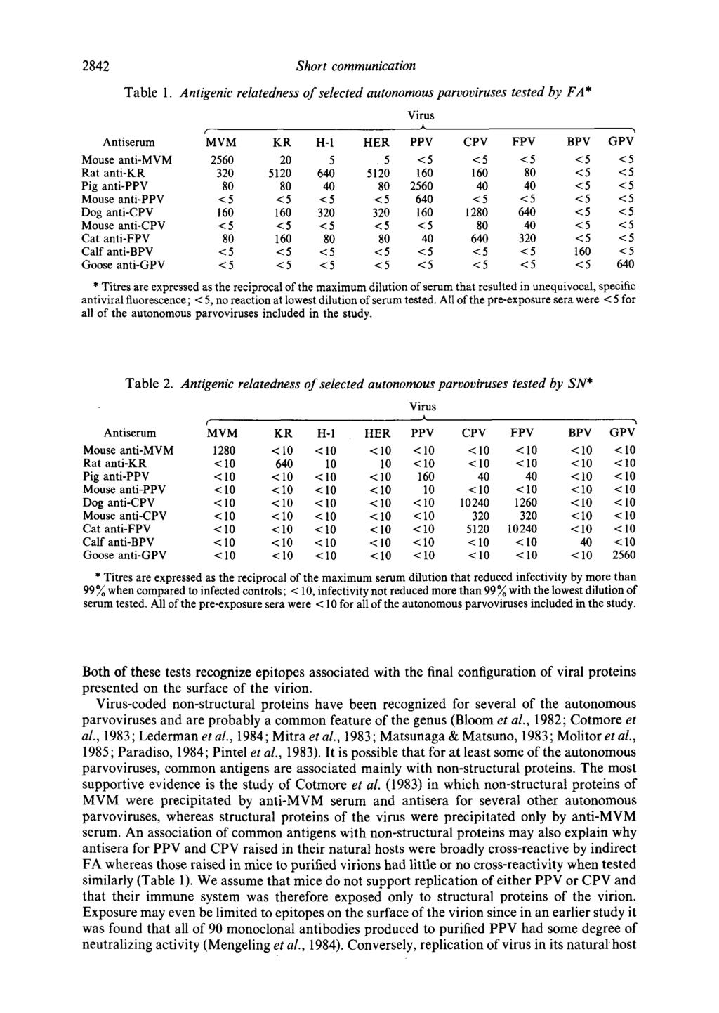 2842 Short communication Table 1. Antigenic relatedness of selected autonomous parvoviruses tested by FA* t" ~k Antiserum MVM KR H-1 HER PPV CPV FPV BPV GPV Mouse anti-mvm 2560 20 5.