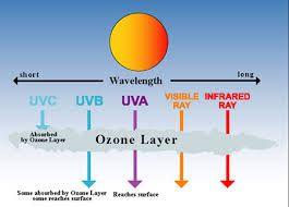 Greenhouse Effect Notes From the Sun We receive the following UV Radiation gives us vitamin D Blocked by the Ozone Layer Light allows us to see Not