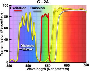 D filter 542 nanometers