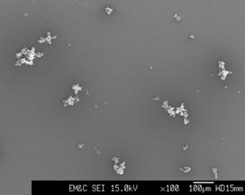 FESEM Images of Polymeric Particle Contamination on Poly Si 1