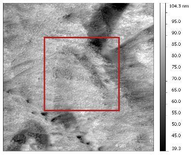 Left: after 90 min in the HAST chamber, scan area: 30x30 m 2 ; right the highlighted area in