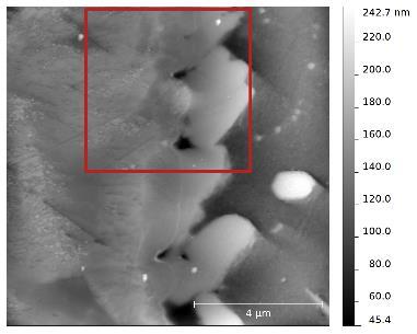 10 m range. Fig. 7. Contact-mode AFM images of the Cu-solder interface part (area 2) of the freshly prepared specimen. Left: scan area: 50x50 m 2 ; right 16x16 m 2. Fig. 8 presents images which illustrate the intermediary phase of the continuous oxide layer formation on the Cu part of the interface.