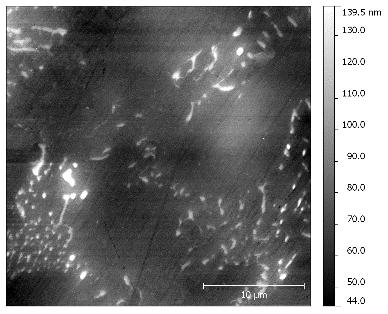 Fig. 10. Contact-mode AFM images of the solder part (area 3) of the freshly polished specimen. Left: scan area: 30x30 m 2 ; right 2x2 m 2.