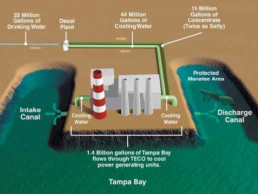 power plant outfalls under a NPDES permit administered by the Florida Department of Environmental Protection.
