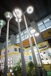 making D : 6% Not involved in sourcing Exhibition halls in Area A Area A Indoor lighting (Commercial) Indoor lighting (Decorative) Outdoor lighting Electric lights Wafers and chips LED packages,