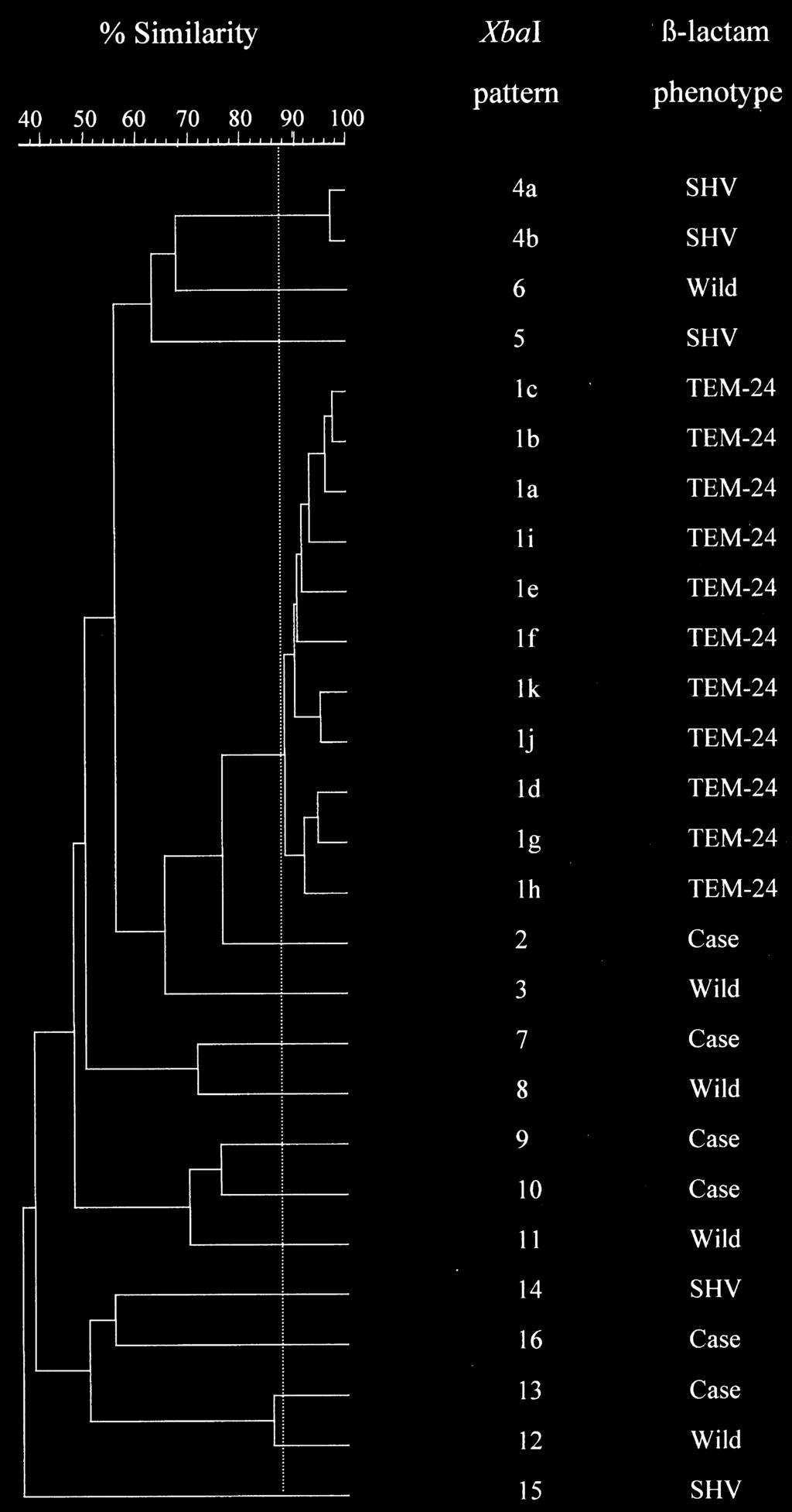 Lane 14: pattern 2. Lane 15: pattern 7. Lane 16: pattern 4b. Lane 17: pattern 8. Lane 18: pattern 16. Lane 19: pattern 5. Lane 21: bacteriophage lambda DNA concatemers (BioRad).