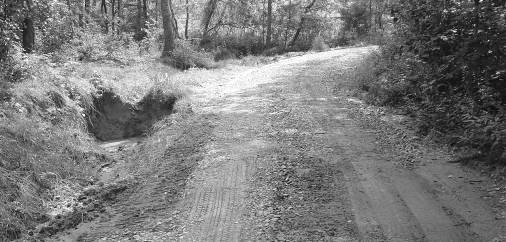 This sediment pit is located in a good position to capture sediment that flows off of this graveled, outsloped forest road.