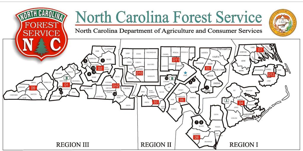 ORGANIZATION STRUCTURE NC Forest Service has a line/staff structure.
