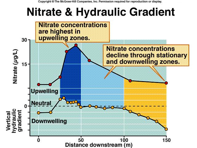 The concentration of nitrate in surface water varies directly with vertical hydraulic gradient Upwelling zones have the highest nitrate concentration
