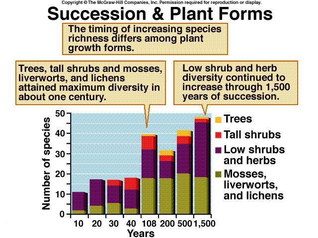 increased during secondary succession at Piedmont