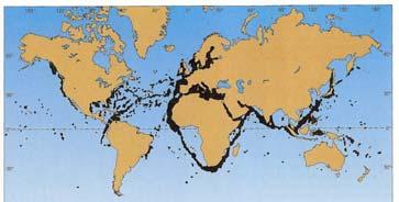 of oil contamination in seas and