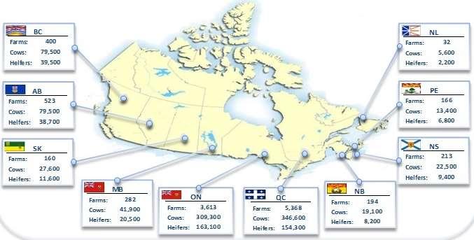 Canadian Dairy Population Source: Canadian