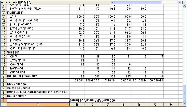 Exporting Multi-Year Analysis You can create a workbook that uses multi-year data to analyze a company s financial statements. Examples of the workbook s sheets and graphs follow.