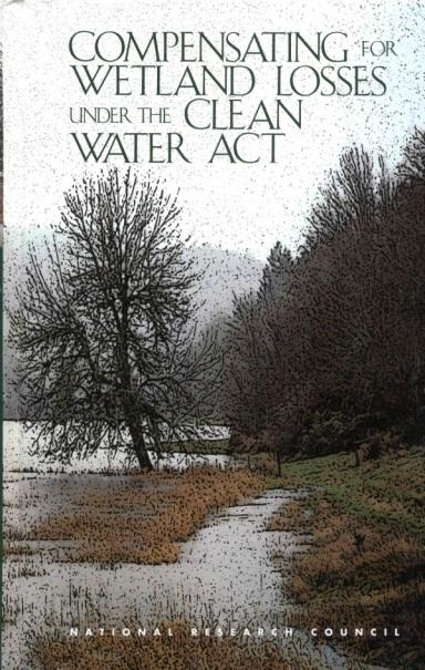 National Research Council 2001 Report Requested by USEPA and USACE Evaluated mitigation for projects approved under the Clean Water Act Recommended improvements to mitigation practices: Base site