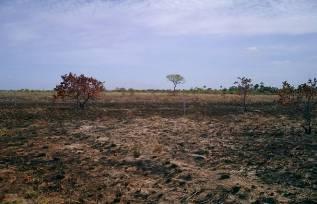 Emission Reduction Projects Portfolio CDM Project (VER+, CCB-Standard): Reforestation Mata Atlântica, Brazil degenerated