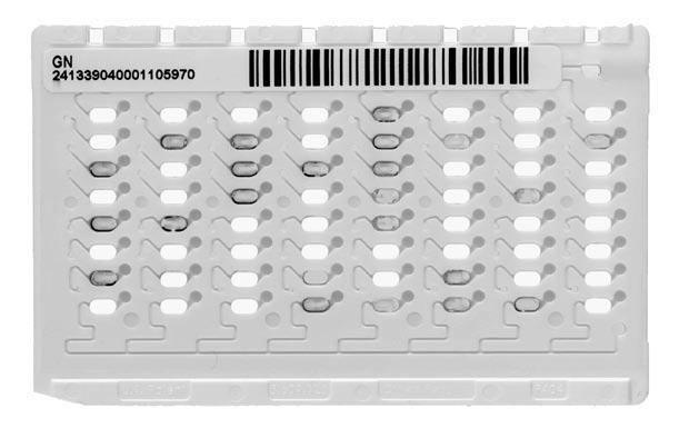 Fig 09.. A sample of GN Cards used for Vitek auto analyzer machines. (The picture is taken from David H.