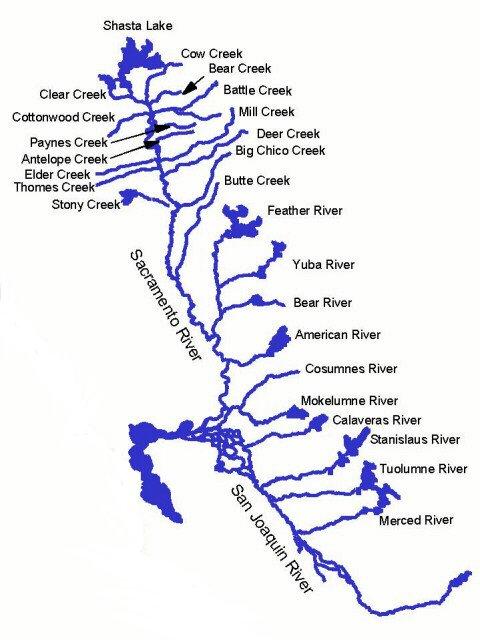California Central Valley Intensively Managed-Interconnected-Plumbed System Hanek et al. 2011. Managing Cal.