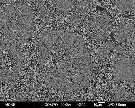 4 Image (SEM) of thixoformed ZA27 alloy after being quench aged for 48 h changed from sudden to slow.